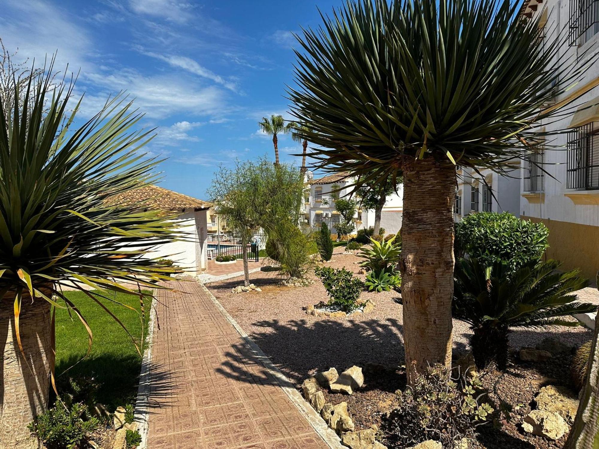 Las Carolinas Residence With Pool San Miguel De Salinas Zewnętrze zdjęcie